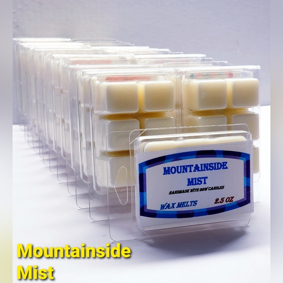 MOUNTAINSIDE MIST -Bath & Body Works Candle Wax Melts- $8 per pack - Picture 1 of 9